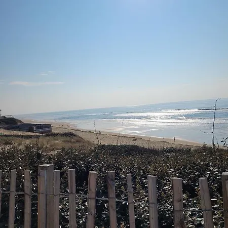 Appartement T3 Bord De *